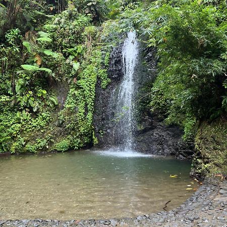 Le Ketmie Nature Et Decouverte Fond-Saint-Denis Ngoại thất bức ảnh