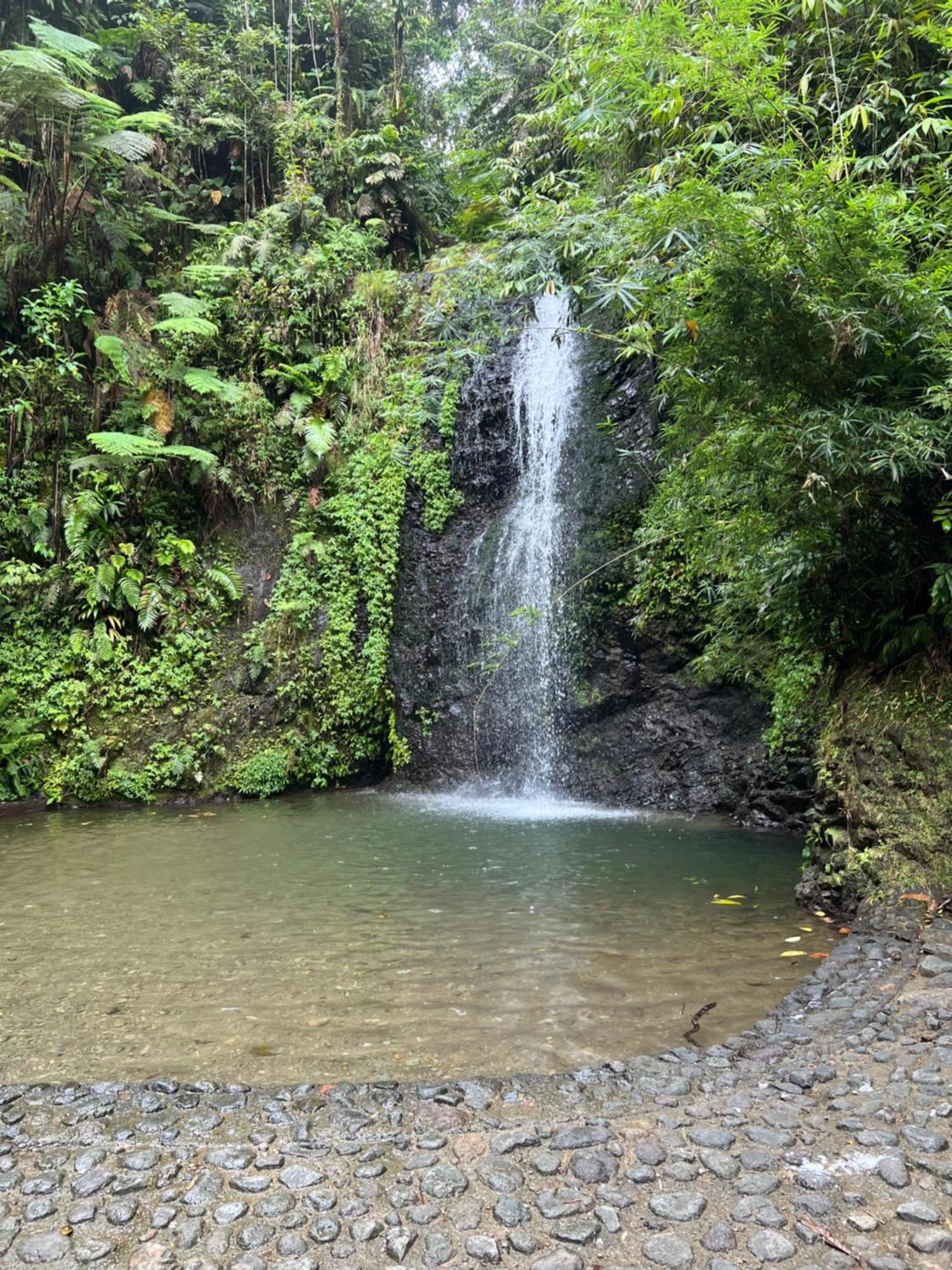 Le Ketmie Nature Et Decouverte Fond-Saint-Denis Ngoại thất bức ảnh