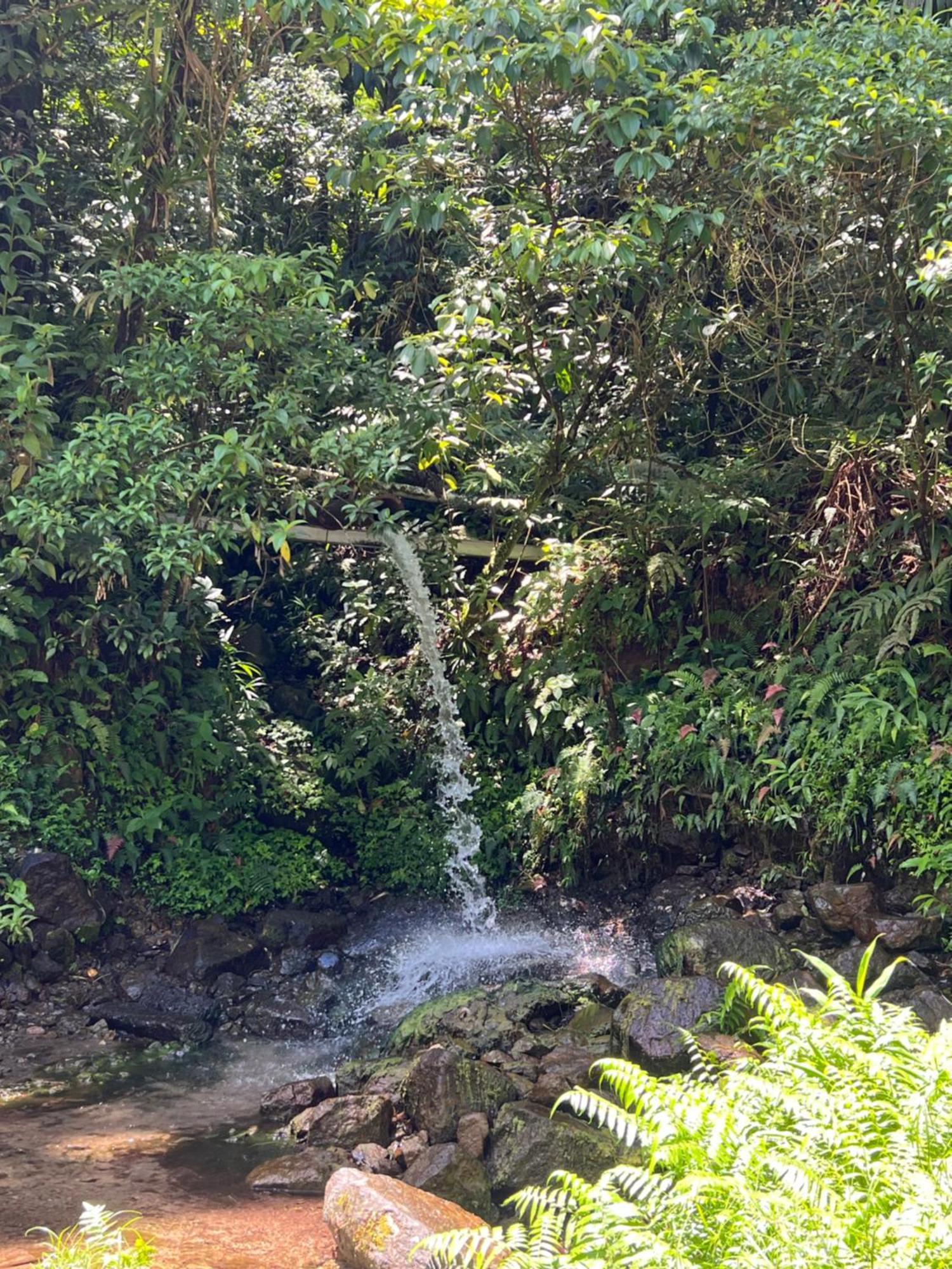 Le Ketmie Nature Et Decouverte Fond-Saint-Denis Ngoại thất bức ảnh
