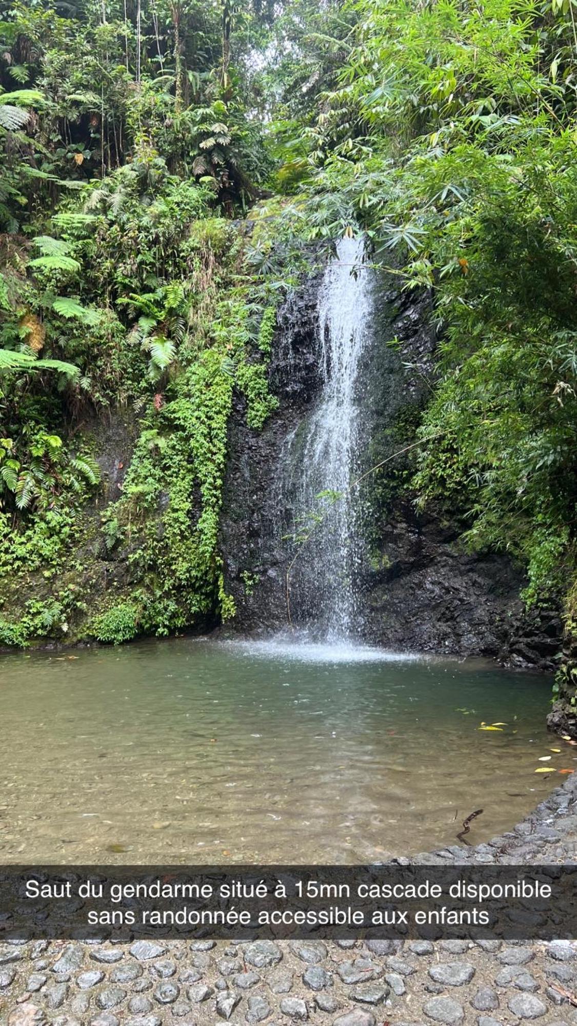Le Ketmie Nature Et Decouverte Fond-Saint-Denis Ngoại thất bức ảnh