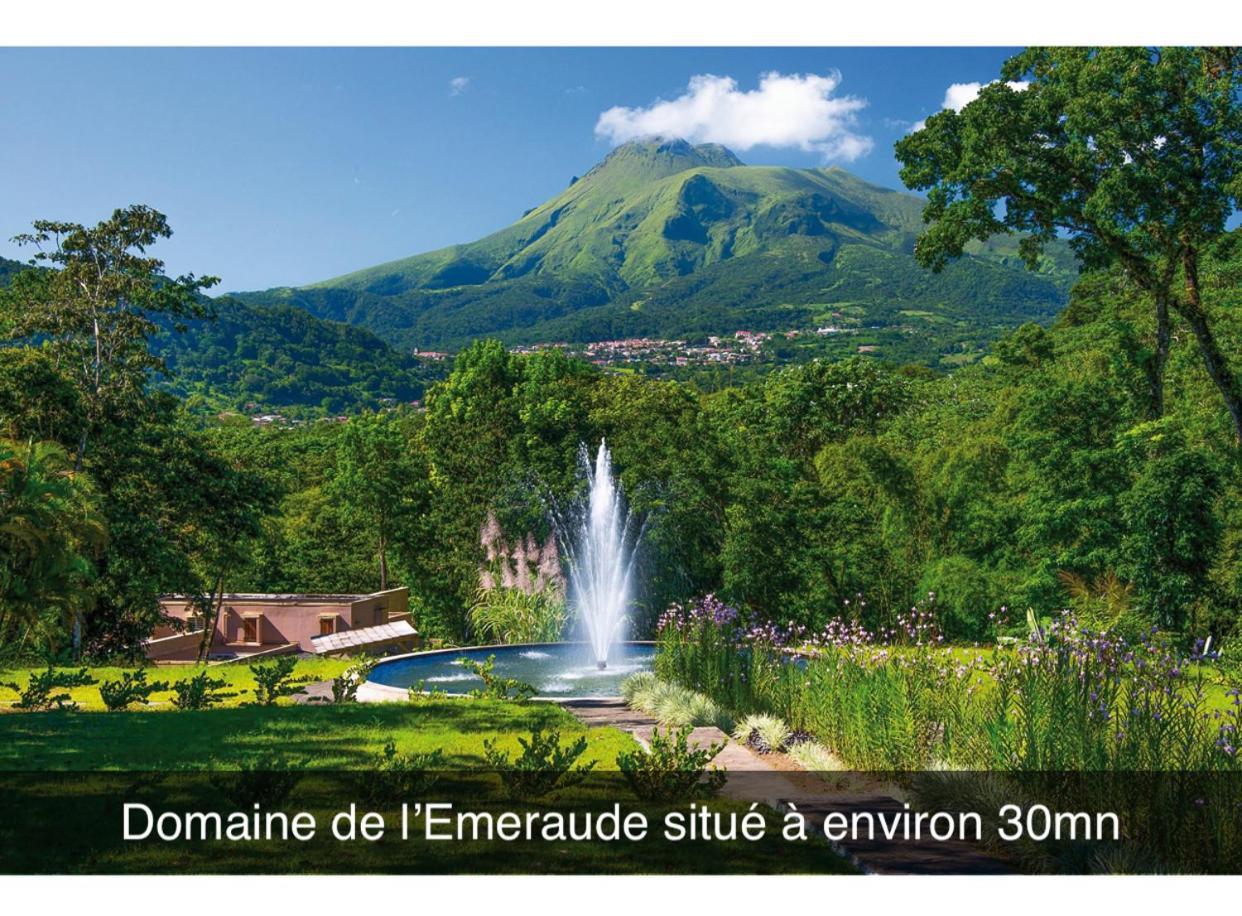 Le Ketmie Nature Et Decouverte Fond-Saint-Denis Ngoại thất bức ảnh